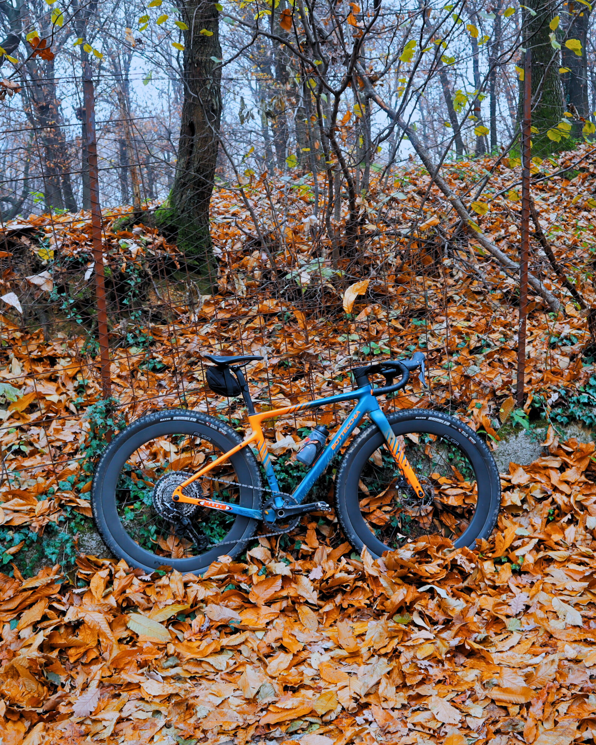 Gravel in Autunno: quando la bici incontra la stagione più bella dell’anno