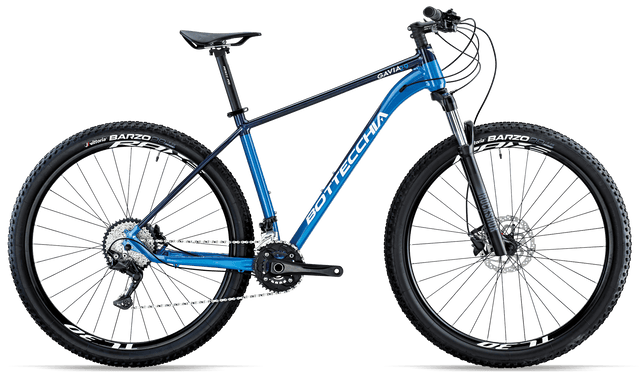 GAVIA 29