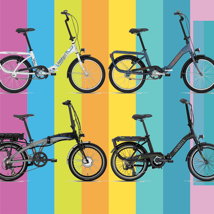 graziella bottecchia elettrica