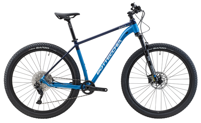 GAVIA 29