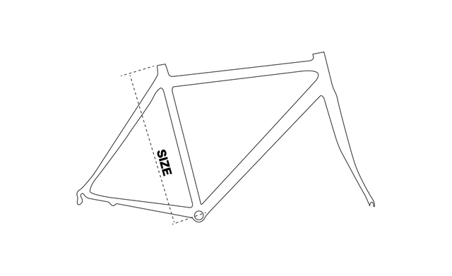 Bottecchia size guide sale